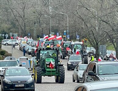 Miniatura: Blisko 500 rolników i 90 ciągników w...