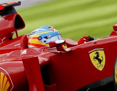 Miniatura: F1: kolizja na torze. Alonso dalej nie...