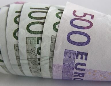 Miniatura: Euro - jak daleko, jak blisko