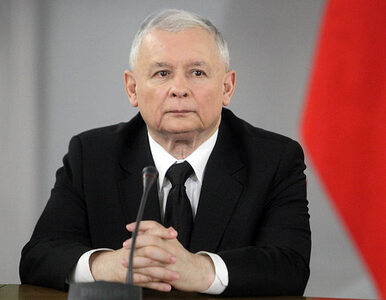 Miniatura: Kaczyński kandydatem na szefa KE? Nałęcz...
