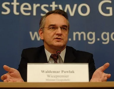 Miniatura: Pawlak: Nie zamierzam walczyć o...