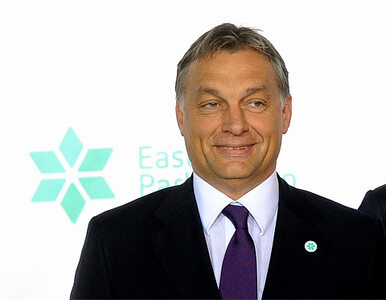 Miniatura: Orban: Imigranci to problem Niemiec, nie...