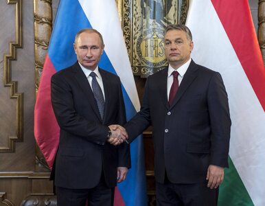 Europoseł PiS broni Orbana komentując „mizianie z Putinem”. „Pytałem o...