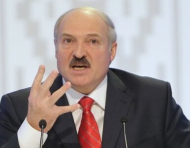 Miniatura: Łukaszenka: nie boję się europejskich...