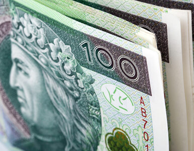 Miniatura: Połowa banków znów w polskich rękach