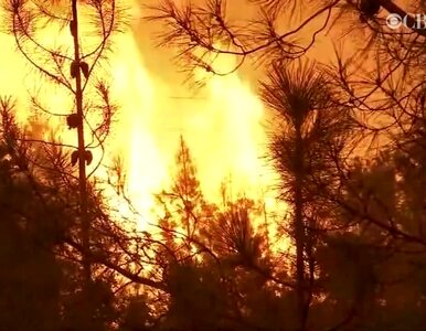 „Ogniste tornada” szaleją w Kalifornii. Nie żyje 2 strażaków, tysiące...