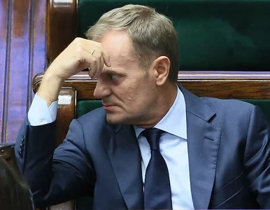 Miniatura: Co Tusk wiedział o Amber Gold? PiS:...