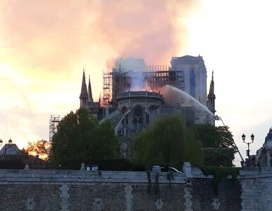 Miniatura: Politycy komentują pożar katedry Notre...