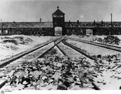 Miniatura: "Unikatowy" Holocaust
