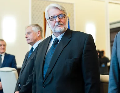 Miniatura: Waszczykowski: Mam nadzieję, że budowa pod...