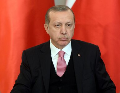Miniatura: Odwołano spotkanie Szydło - Erdogan....