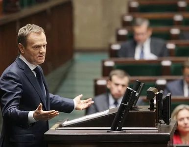 Miniatura: Tusk: jeśli okaże się, że ACTA zagraża...