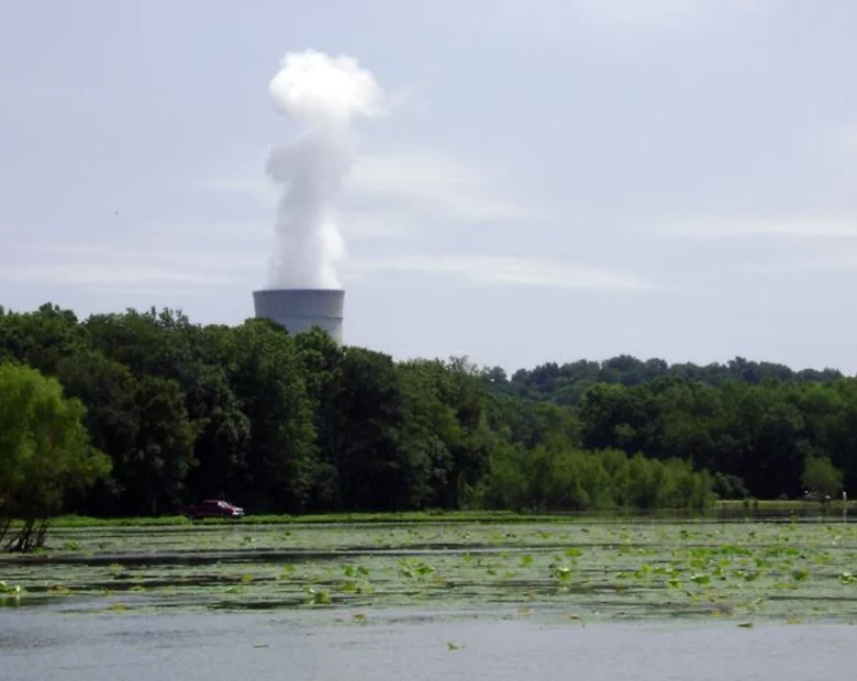 Miniatura: Polska chce opóźnić aukcje CO2 - UE się...