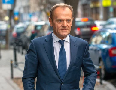 Miniatura: Donald Tusk kpi z „narodowych” projektów,...