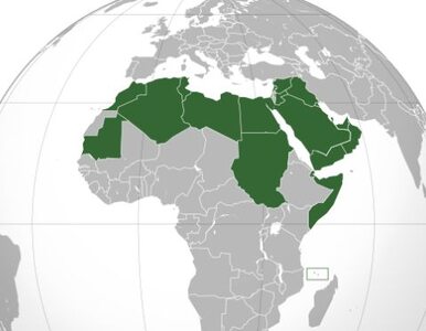 Miniatura: Liga Arabska zawiesiła udział Libii w...