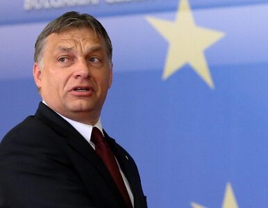 Miniatura: Orban: nie porównujcie nas do Ukrainy!