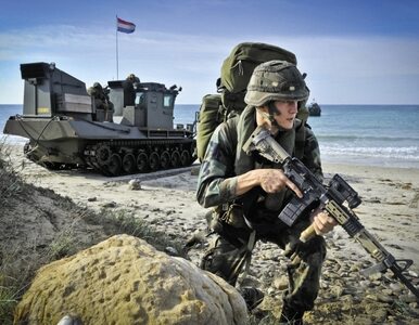Miniatura: Miraż europejskiej armii