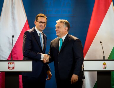 Miniatura: „FT”: Polska i Węgry kontra UE. „Budapeszt...