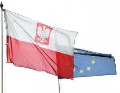 Miniatura: Polska nie chce płacić za spajanie Europy