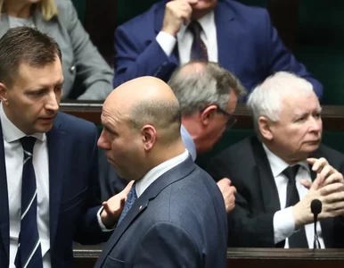 Miniatura: PiS wycofuje się z projektu ws. Rady...