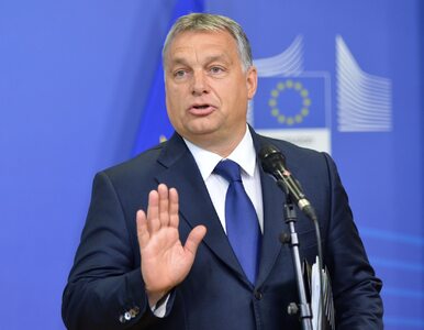 Miniatura: Orban: Węgry mają nadzieję na kompromis...