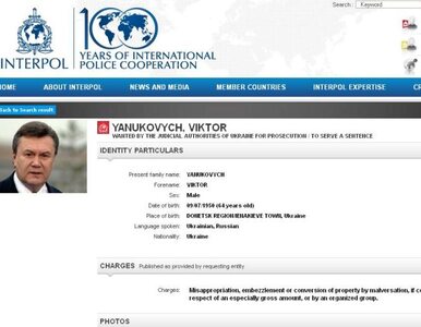Miniatura: Interpol wysłał za Janukowyczem list gończy