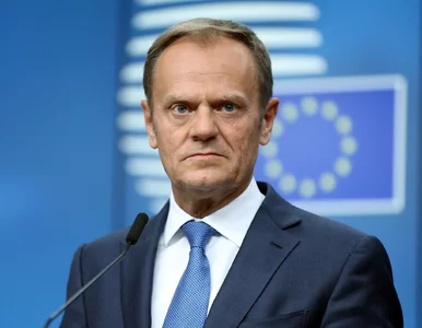 Miniatura: W najbliższy czwartek Donald Tusk zostanie...