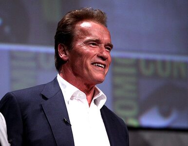 Miniatura: Schwarzenegger: straciłem miliony przez...