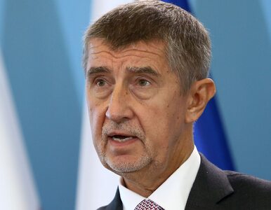 Miniatura: Syn premiera Czech oskarża ojca o...