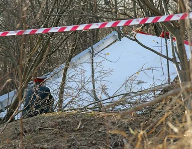 Miniatura: "Rządowe służby mają wybór: kłamstwo...