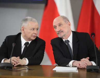 Miniatura: "Kaczyński z Macierewiczem pukają do...