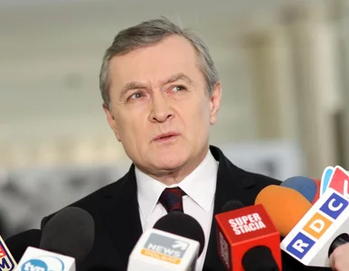 Miniatura: Gliński: mamy z PiS-em wspólny cel