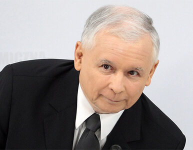 Miniatura: Kaczyński: skandal. Odpowiedzialni: Tusk,...