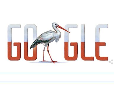 Bocian na Święto Niepodległości. Google odpowiedział Pawłowicz
