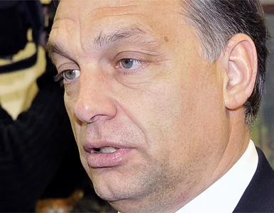 Miniatura: Orban: ten rok będzie burzliwy. Węgrom...