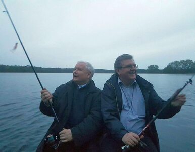 Miniatura: Prezes PiS łowił ryby na Pomorzu...