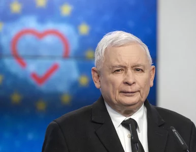 Miniatura: Jarosław Kaczyński premierem? Z sondażu...