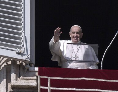 Miniatura: Papież Franciszek o związkach...