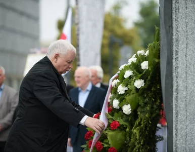 Miniatura: Kaczyński ze sprayem w ręce grzmiał na...