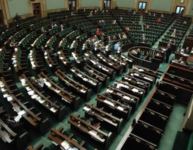 Miniatura: Sejm poprawia Senat. "Homoseksualiści mogą...