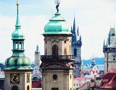 Miniatura: Czechy zapowiadają solidność i profesjonalizm