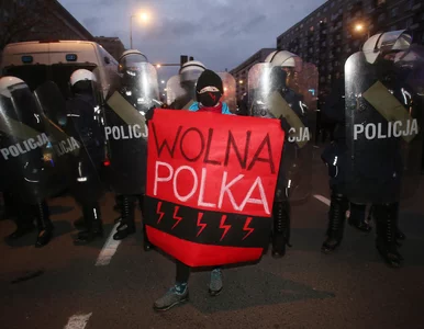 Miniatura: Brutalność policji nie wzięła się znikąd....