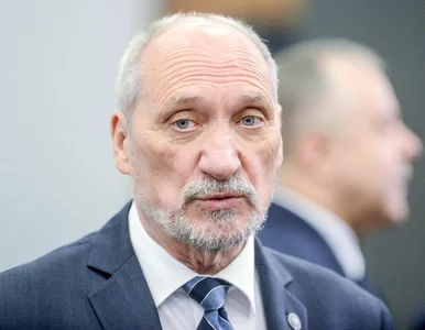 Miniatura: Macierewicz ujawnił tajne informacje...