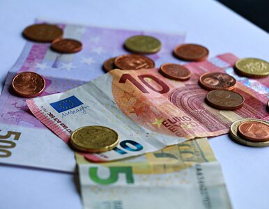 Miniatura: Czy Polska powinna przyjąć euro?