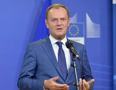 Miniatura: Tusk: Od niemieckiego podejścia do kryzysu...