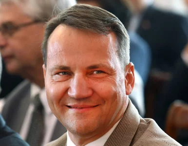 Miniatura: Sikorski domaga się przeprosin od Kukiza....