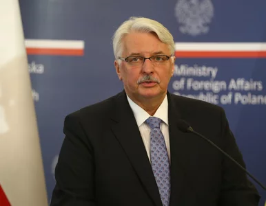 Miniatura: Waszczykowski: Czujemy się oszukani przez...