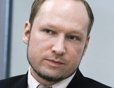 Miniatura: Breivik: jeśli uznacie, że jestem winny,...