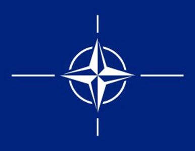 Miniatura: W Gruzji rozpoczęły się manewry NATO