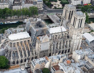 Miniatura: Rozpoczęła się odbudowa katedry Notre...